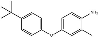 4-(4-(叔丁基)苯氧基)-2-甲基苯胺 结构式