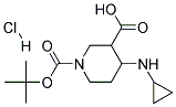 4-CYCLOPROPYLAMINO-PIPERIDINE-1,3-DICARBOXYLIC ACID 1-TERT-BUTYL ESTER HYDROCHLORIDE 结构式