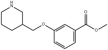 METHYL 3-(3-PIPERIDINYLMETHOXY)BENZOATE 结构式