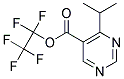 4-ISOPROPYL-5-PENTAFLUOROETHYL-PYRIMIDINE-5-CARBOXYLIC ACID 结构式