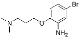 5-BROMO-2-[3-(DIMETHYLAMINO)PROPOXY]ANILINE 结构式