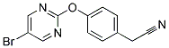 (4-[(5-BROMOPYRIMIDIN-2-YL)OXY]PHENYL)ACETONITRILE 结构式