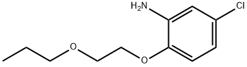 5-CHLORO-2-(2-PROPOXYETHOXY)ANILINE 结构式