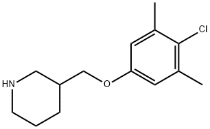 3-[(4-CHLORO-3,5-DIMETHYLPHENOXY)METHYL]PIPERIDINE 结构式