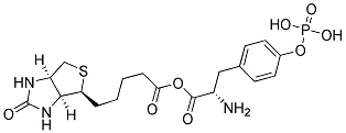 ANTI-PHOSPHOTYROSINE, BIOTIN 结构式