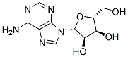 ANTI-ADENOSINE 结构式