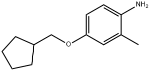 4-(环戊基甲氧基)-2-甲基苯胺 结构式