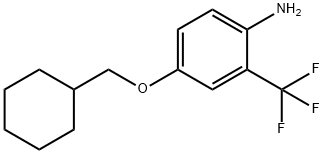 4-(环己基甲氧基)-2-(三氟甲基)苯胺 结构式