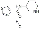 THIOPHENE-3-CARBOXYLICACIDPIPERIDIN-3-YLAMIDEHYDROCHLORIDE 结构式