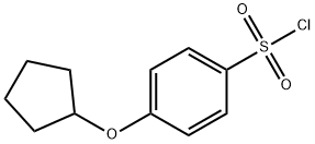 4-(环戊氧基)苯-1-磺酰氯化 结构式