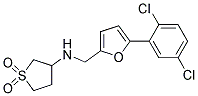 N-((5-(2,5-DICHLOROPHENYL)-2-FURYL)METHYL)TETRAHYDROTHIOPHEN-3-AMINE 1,1-DIOXIDE 结构式