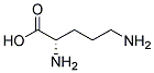 ANTI-ORNITHINE 结构式