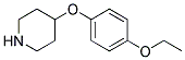 4-(4-ETHOXYPHENOXY)PIPERIDINE 结构式