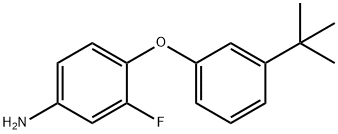 4-[3-(TERT-BUTYL)PHENOXY]-3-FLUOROPHENYLAMINE 结构式