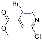 5-BROMO-2-CHLORO-ISONICOTINIC ACID METHYL ESTER 结构式