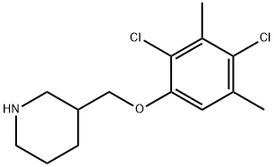 3-[(2,4-DICHLORO-3,5-DIMETHYLPHENOXY)METHYL]-PIPERIDINE 结构式