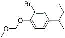 4-SEC-BUTYL-2-BROMO-1-(METHOXYMETHOXY)BENZENE 结构式