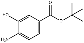 4-氨基-3-羟基苯甲酸叔丁酯 结构式