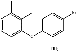5-BROMO-2-(2,3-DIMETHYLPHENOXY)ANILINE 结构式