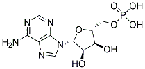 ANTI-ADENOSINE MONOPHOSPHATE 结构式