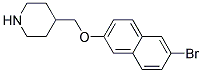 4-([(6-BROMO-2-NAPHTHYL)OXY]METHYL)PIPERIDINE 结构式