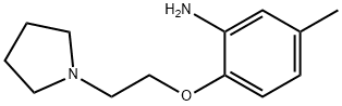 5-METHYL-2-(2-PYRROLIDIN-1-YL-ETHOXY)-PHENYLAMINE 结构式