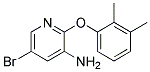 5-BROMO-2-(2,3-DIMETHYL-PHENOXY)-PYRIDIN-3-YLAMINE 结构式
