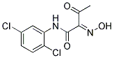 N-(2,5-DICHLORO-PHENYL)-2-HYDROXYIMINO-3-OXO-BUTYRAMIDE 结构式