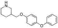 3-[(4-PHENOXYPHENOXY)METHYL]PIPERIDINE 结构式