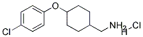 [4-(4-CHLORO-PHENOXY)-CYCLOHEXYL]-METHYL-AMINE HYDROCHLORIDE 结构式