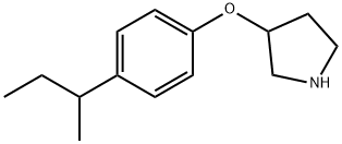 3-[4-(SEC-BUTYL)PHENOXY]PYRROLIDINE 结构式