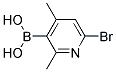 6-溴-2,4-二甲基吡啶-3-硼酸 结构式