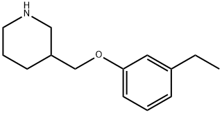 3-[(3-ETHYLPHENOXY)METHYL]PIPERIDINE 结构式