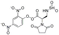 DAPOXYL(R) 3-SULFONAMIDOPROPIONIC ACID, SUCCINIMIDYL ESTER 结构式