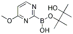4-METHOXYPYRIMIDINE-2-BORONIC ACID PINACOL ESTER 结构式