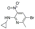 (5-BROMO-6-METHYL-3-NITRO-PYRIDIN-2-YL)-CYCLOPROPYL-AMINE 结构式