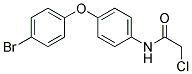 N-[4-(4-BROMOPHENOXY)PHENYL]-2-CHLOROACETAMIDE 结构式