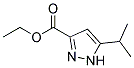 ETHYL 5-ISOPROPYLPYRAZOLE-3-CARBOXYLATE 结构式