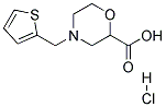 4-THIOPHEN-2-YLMETHYL-MORPHOLINE-2-CARBOXYLIC ACID HYDROCHLORIDE 结构式