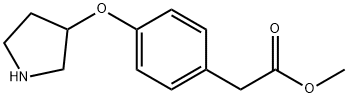 METHYL 2-[4-(3-PYRROLIDINYLOXY)PHENYL]ACETATE 结构式