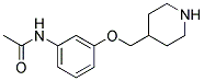 N-[3-(4-PIPERIDINYLMETHOXY)PHENYL]ACETAMIDE 结构式