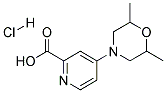 4-(2,6-DIMETHYLMORPHOLIN-4-YL)PYRIDINE-2-CARBOXYLIC ACID HYDROCHLORIDE 结构式