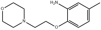 5-METHYL-2-[2-(4-MORPHOLINYL)ETHOXY]PHENYLAMINE 结构式