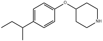 4-[4-(SEC-BUTYL)PHENOXY]PIPERIDINE 结构式