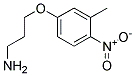 3-(3-METHYL-4-NITRO-PHENOXY)-PROPYLAMINE 结构式