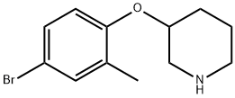 3-(4-溴-2-甲基苯氧基)哌啶 结构式