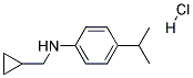 CYCLOPROPYLMETHYL-(4-ISOPROPYL-PHENYL)-AMINE HYDROCHLORIDE 结构式