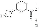 METHYL 3-(AZETIDIN-3-YL)CYCLOHEXANECARBOXYLATE HYDROCHLORIDE 结构式