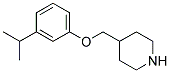 4-[(3-ISOPROPYLPHENOXY)METHYL]PIPERIDINE 结构式