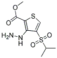 METHYL 3-HYDRAZINO-4-(ISOPROPYLSULFONYL)THIOPHENE-2-CARBOXYLATE, TECH 结构式